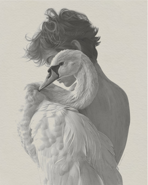 Swan Portrait - Kei Meguro